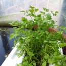 기운농장 이미지