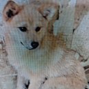 삼호농장4 이미지