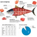 굿참치