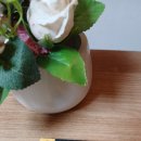 토성프라자 | 커큐민영양제<동충하초 커큐민> 후기