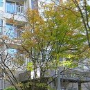 문정로-11 이미지