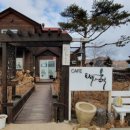 타샤의언덕