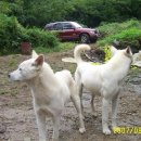 신덕농장 이미지