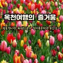 옥천향토전시관 | 옥천 여행의 향토전시관 육영수생가 다녀온 즐거움