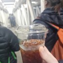 애월바다타운하우스 민박 | 251129 올레길 15-B 코스