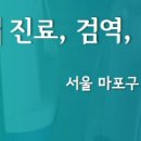 청도펫동물병원 이미지