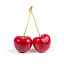 (주)체리센스 이미지