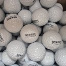 일진골프랜드 이미지