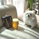 인흥농장 이미지