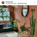 안리숲 | 부산 렌탈스튜디오 안리숲에서 음식메뉴 셀프촬영후기