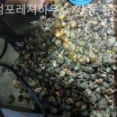 마검포레져하우스가족독채수영장 이미지