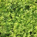 무학농장 이미지