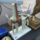 전주목민정한의원 이미지