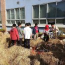 학교농장 이미지