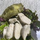 마리오 짐 이미지