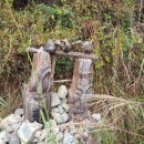 봉림농장 이미지