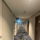 비바스호텔 | 신주쿠 워싱턴 호텔 (도쿄 가성비 비즈니스호텔, 수페리어트윈 이용후기)