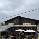 국수나무아산 - 아산시 설화고길 6 | 국수나무아산