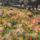 제주허브동산 이미지