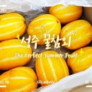 노랑청과