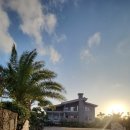 통나무집 | 정원부터 사우나까지 완벽했던 제주숙소 협재펜션 ‘협재 통나무집‘ 후기