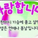 아름다운날 - 천안시 서북구 성거길 175 | 아름다운날
