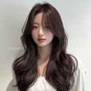 1983헤어 네이버블로그