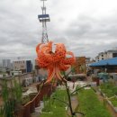 가양지역아동센터 이미지