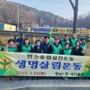 개나리마을 이미지