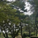 오마모리 이미지