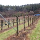 다모아농장 이미지