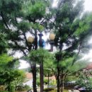 영흥도스크린골프독채펜션 민박 이미지