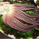 아야진생태찌개 이미지