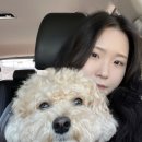 경아네민박 이미지