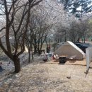 용인반딧불캠핑장 이미지
