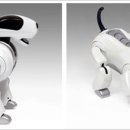 529 게임즈 이미지