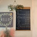 콩캣 이미지