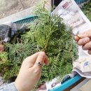 광주-초월-초월-3 | [성당] 경기광주_초월성당 방문 후기 (3.29 주님 수난 성지주일)