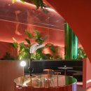 엘디스리젠트 이미지