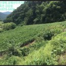 원통초 신덕분교장 이미지