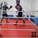 다윗복싱다이어트 이미지