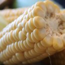 초당농장 이미지