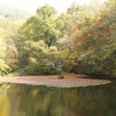 연못이 있는 풍경 이미지