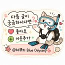 독도집 | [울릉도 나리분지 여행] 나리촌 식당부터 저동커피·독도문방구·서울집 먹거리 코스 후기
