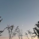 하성상사 | 결혼정보회사 등급표 정리 후기