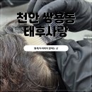 태후사랑 미용실 | 천안 쌍용동미용실 두피케어 잘하는곳 태후사랑 추천
