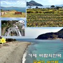 바람의 언덕 이미지