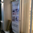 부산고양이분양 모나미네코 동래점 | 모나미네코 울산 본점, 울산 고양이분양 브리티쉬...모질 좋고 빵빵한 고양이 울산펫샵 후기 (내돈내산)