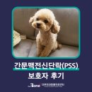 늘찬병원 | 간문맥전신단락(PSS) 늘찬 보호자님의 후기