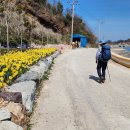 염산초등학교낙월분교장 이미지